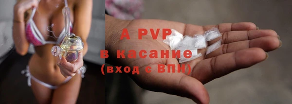 spice Осташков