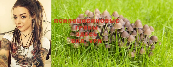 первитин Осинники