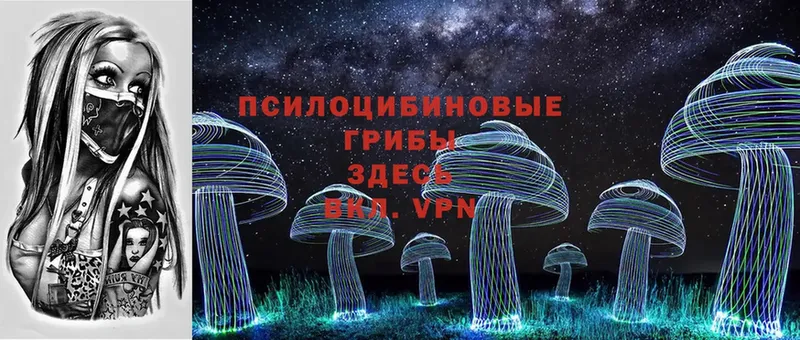 Галлюциногенные грибы Cubensis  даркнет сайт  Алексеевка 