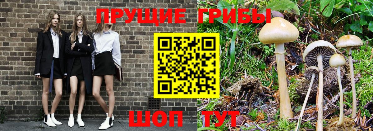 Псилоцибиновые грибы MAGIC MUSHROOMS Алексеевка