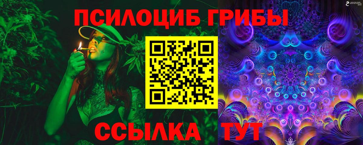 Алексеевка  Псилоцибиновые грибы Psilocybine cubensis  Вход с VPN 