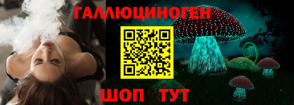 Псилоцибиновые грибы GOLDEN TEACHER Алексеевка